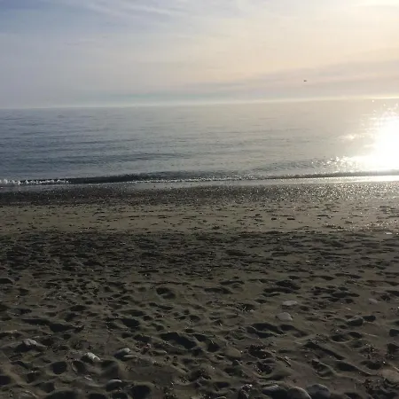 Pieds Dans L'eau *